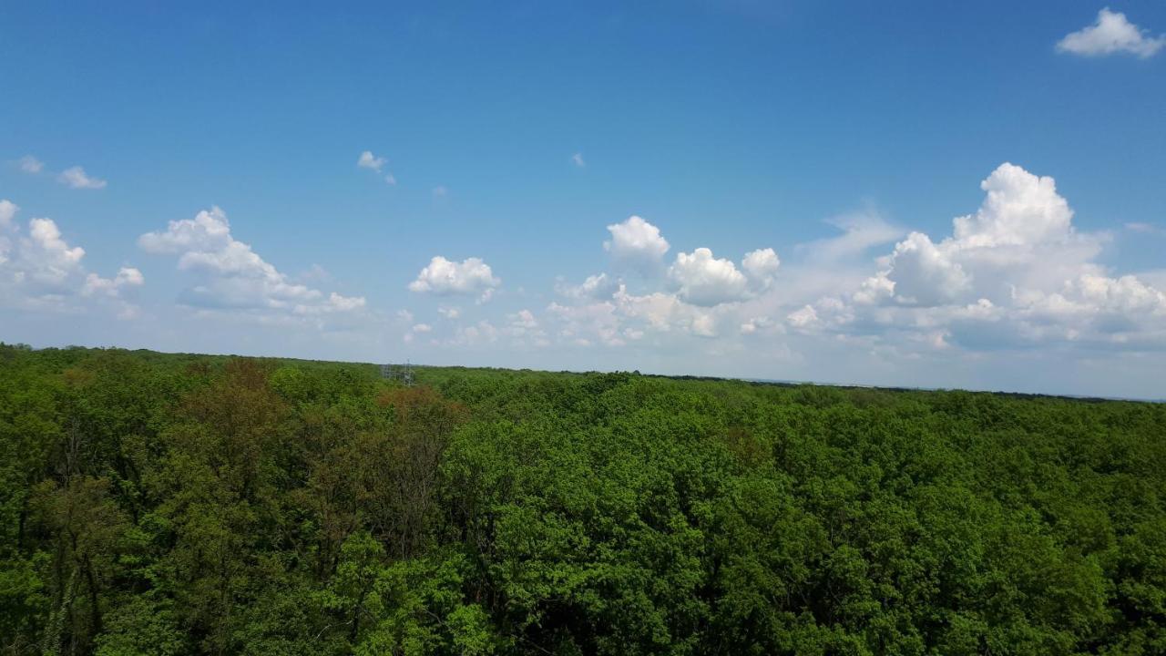 Foresthouse 2 Timișoara Zewnętrze zdjęcie