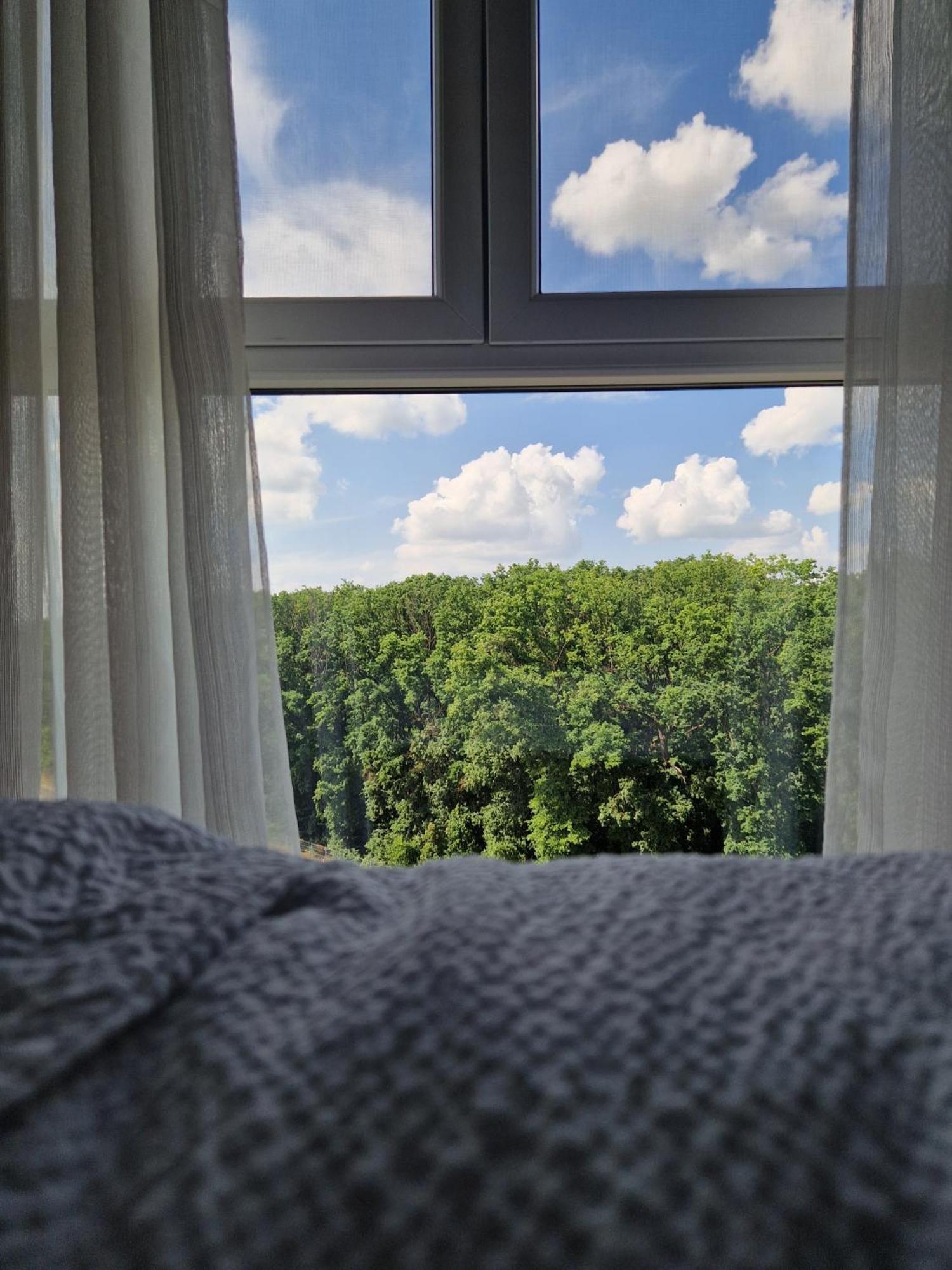 Foresthouse 2 Timișoara Zewnętrze zdjęcie